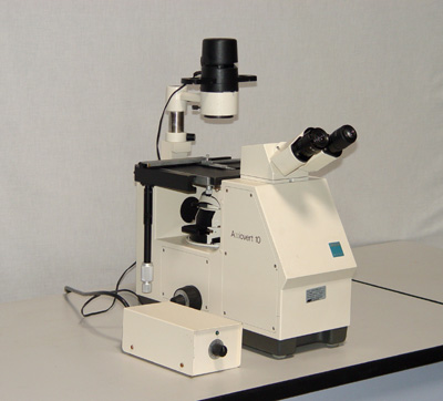 Zeiss AXIOVERT-10 Biology Inverted Microscope
